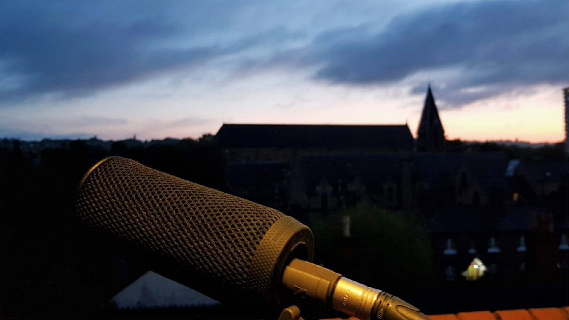 Listen to a Blackbird Song at Dawn